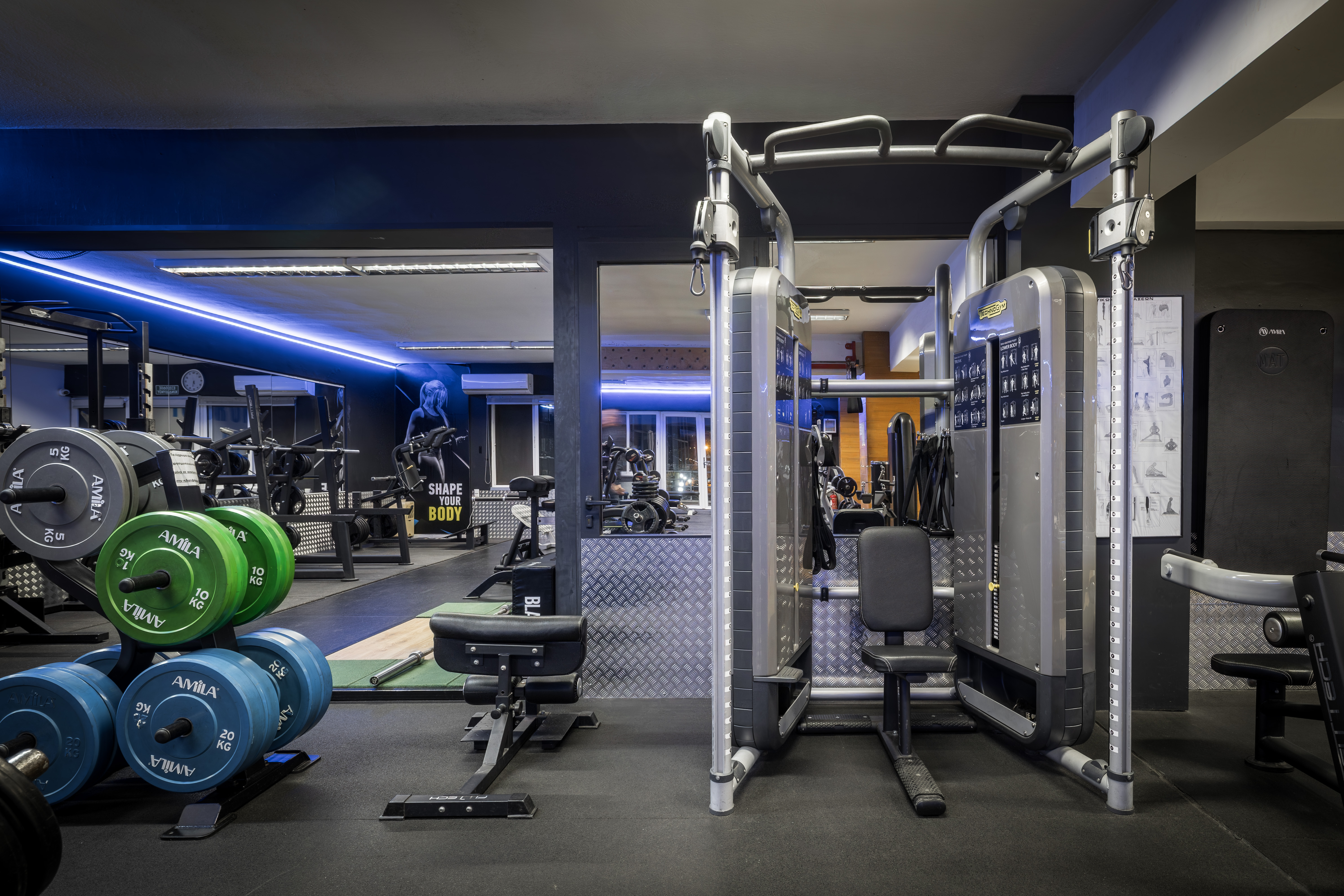 Όργανα γυμναστικής