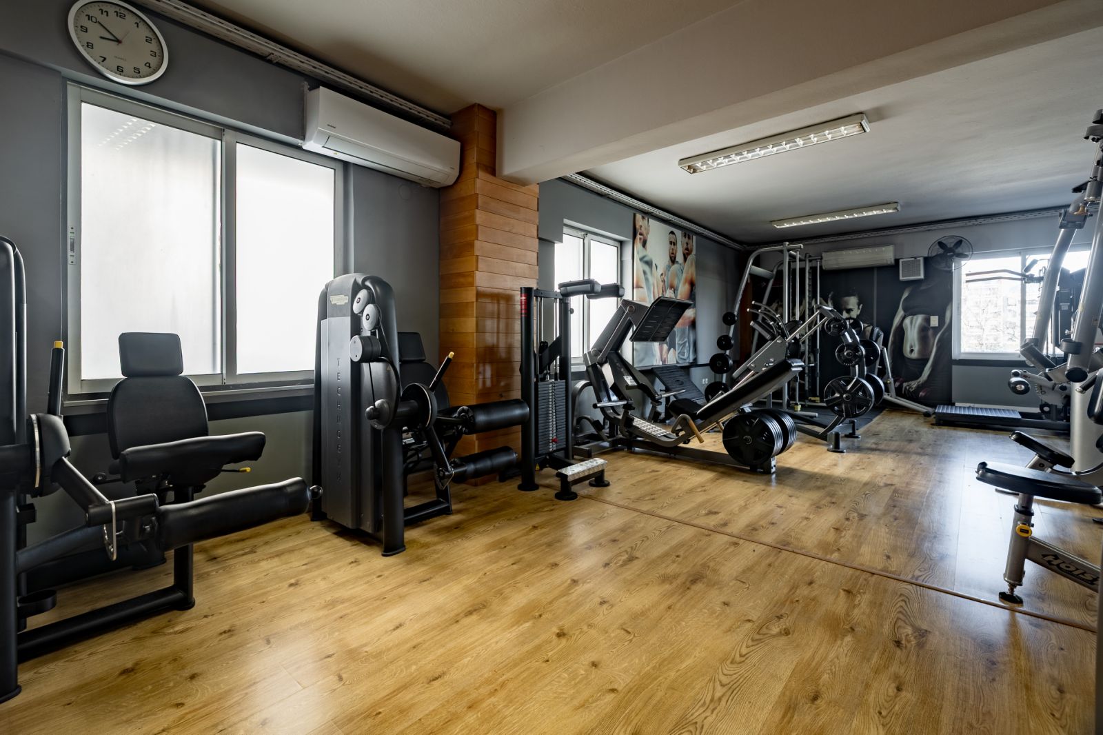 Όργανα γυμναστικής